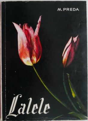 Lalele &amp;ndash; M. Preda foto