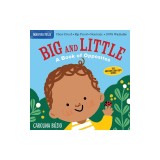 Indestructibles: Big and Little: A Book of Opposites