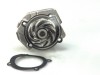 Pompa apa FIAT PUNTO Van (188AX) (2000 - 2009) THERMOTEC D1F011TT