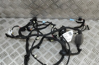 Cablaj ușă st&amp;acirc;nga față BMW X7 G07 2023 OEM: 5A5B6B2 | 31089093 foto