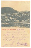 4223 - ANINA, Caras-Severin, Panorama, Litho, Romania - old postcard - used - 1901