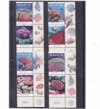 ROMANIA 2024 - CORALI, VINIETA, MNH - LP 2487