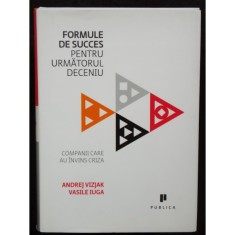 Andrej Vizjak, Vasile Iuga- Formule de succes pentru urmatorul deceniu