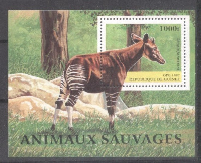 Guinea 1997 Wild animals, Okapi, perf. sheet, MNH S.052 foto
