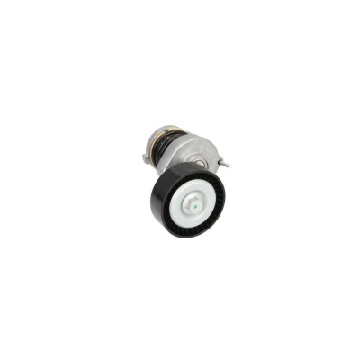 Intinzator curea SEAT CORDOBA 6L2 DAYCO APV2511 foto