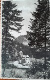Carte postala, Lacul Rosu, vila Mark, 1937