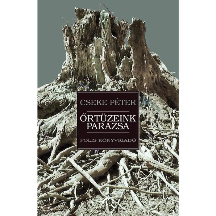 Őrt&uuml;zeink parazsa - Cseke P&eacute;ter-D&aacute;vid Gyula