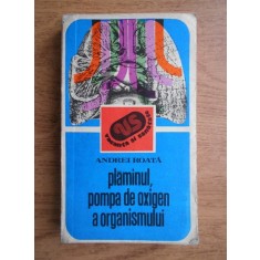 Andrei Roata - Plamanul, pompa de oxigen a organismului