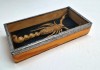 Cutie entomologica scorpion inramat taxidermie cutie artizanala lemn si capac sticla 14 x 7 x 3 cm galben chihlimbar