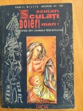 Sculați,sculați,boieri mari! Colinzi din jud. Maramureș,autori Pamfil Biltiu / Gheorghe Gh. Pop