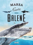 Marea carte despre balene - Flamingo Junior