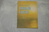 Meridianul albastru - Viorel Salagean - 1989