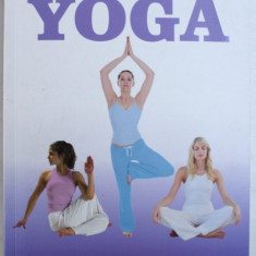 THE BOOK OF YOGA - BRINGING THE BODY, MIND AND SPIRIT INTO BALANCE AND HARMONY de CHRISTINA BROWN, 2002