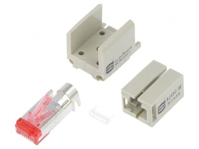 Conector Ethernet Han Brid-RJ45 C-M Hirose foto