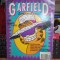 GARFIELD : SUMMER SPECIAL ( REVISTA BD ) , 1992