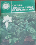 CULTURA SFECLEI DE ZAHAR PE SUPRAFETE MICI