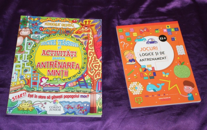 Lot 2 carti Jocuri trasnite si activitati pentru antrenarea mintii Jocuri logice si de antrenament