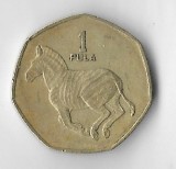 Moneda 1 pula 1991 - Botswana