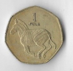 Moneda 1 pula 1991 - Botswana
