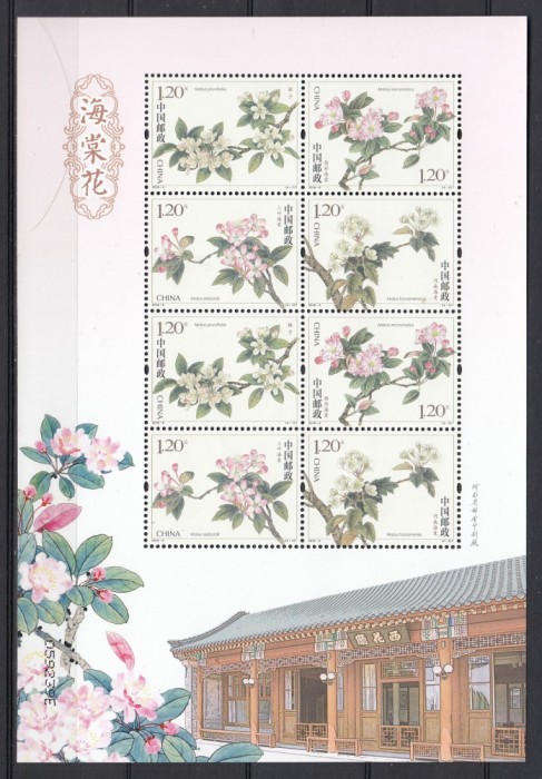 China 2018 - Flora - BEGONIA - Bloc XL - MNH