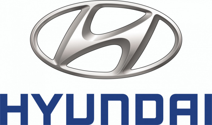 Fuel Filter Oe Hyundai/kia 3198143000
