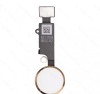 Flex Fingerprint iPhone 7 / 7 Plus Gold SWAP - Senzor Amprenta Buton Home