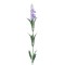 Floare decorativa artificiala, Lavanda, Mov, 60 cm, ATU-085319