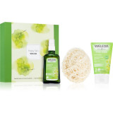 Weleda Birch detox set + gift set cadou (nutritie si hidratare)