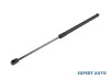 Telescop capota spate Renault Scenic II (2003-&gt;)[JM0/1_] #1