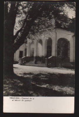 CPIB 21184 CARTE POSTALA - TARNAVENI. CAMINUL DE ZI AL FABRICII DE GEAMURI, RPR foto