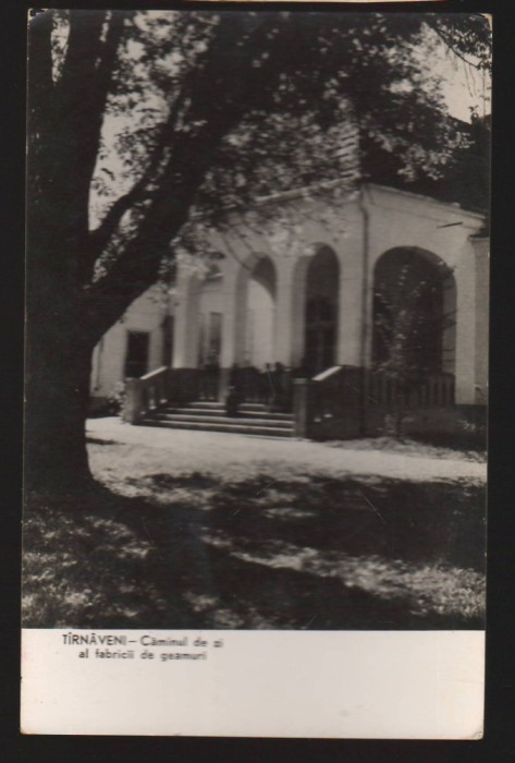 CPIB 21184 CARTE POSTALA - TARNAVENI. CAMINUL DE ZI AL FABRICII DE GEAMURI, RPR