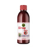 Sirop Coacaz Negru cu Fier 500 mililitri Hypericum