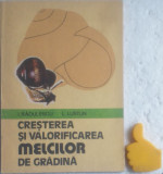 Cresterea si valorificarea melcilor de gradina