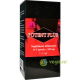 Potent Plus 15cps