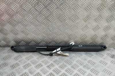 Alt modul de control TESLA MODEL X 2018 OEM: 1063440-01-D | 30382088 foto