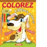Colorez catelul Labus - Petru Ghetoi