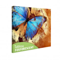 Tablou fosforescent Fluture turqoise foto