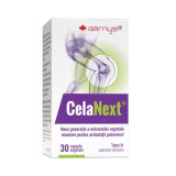 CelaNext Barny&#039;s 30 capsule Good Day Therapy