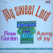 Vinil Various &lrm;&ndash; My Sweet Lord (VG+)