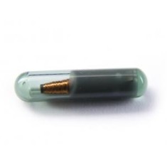 Cip Auto ID 48 Megamos