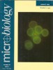 Micriobiology - august 1995 editura Society for General Microbiology, 300 pagini, stare buna