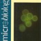 Micriobiology - august 1995