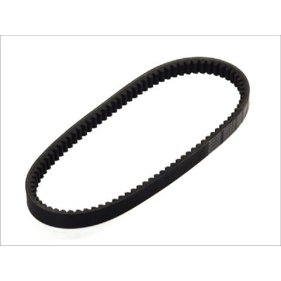 CUREA TRANSMISIE VARIATOR 22.5X814MM foto