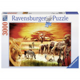 Puzzle - Savana - 3000 piese | Ravensburger