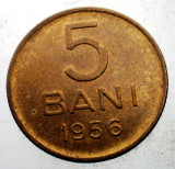 7.300 ROMANIA RPR 5 BANI 1956