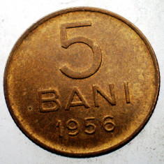 7.300 ROMANIA RPR 5 BANI 1956