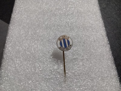 Insigna Gloria Bistrita foto