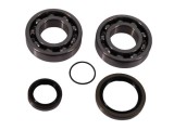 Kit rulmenti ambielaj Beta RR 250 300 13- 22 (NTN) Enduro Expert 226773EE