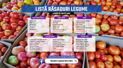 Rasad rosii castraveti vinete ardei alte rasaduri legume 2025 foto