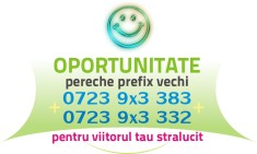 Numere PERECHE - 0723 - Prefix Vechi 9x3.383 + 9x3.332 usoare aur gold cartele